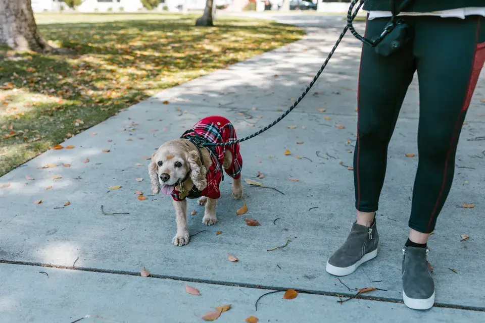towing service El Portal